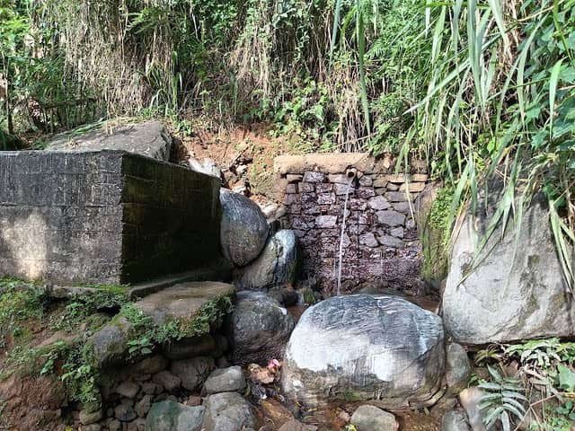 තල්ගහ පිහිල්ල - Image 1