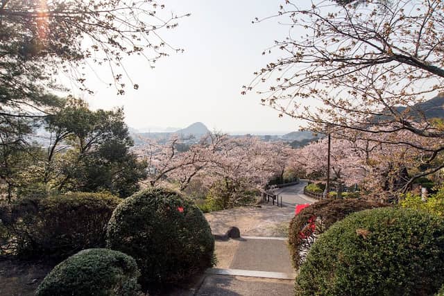 萩町並み展望台 - Image 2