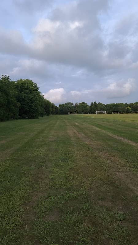 Gyulveszi Park - Image 1