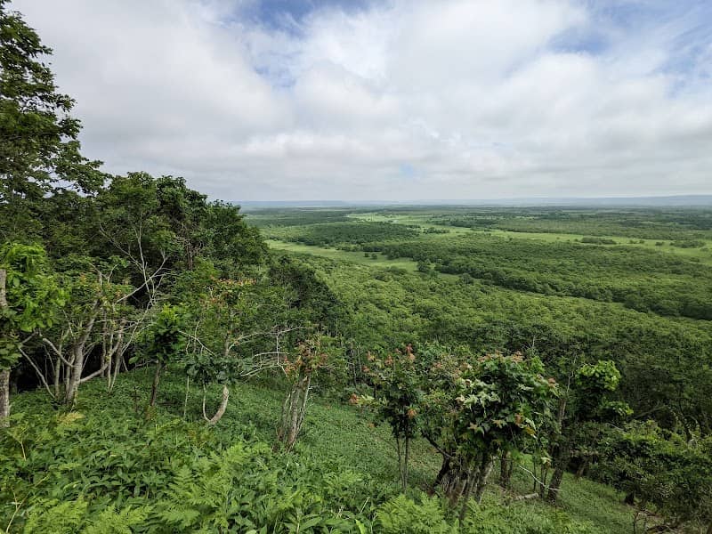 Kushiro Shitsugen National Park - Image 1