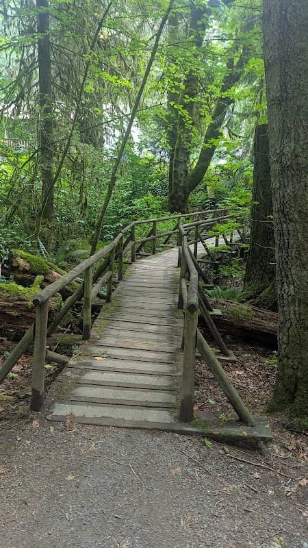 Squaxin Park (Priest Point) - Image 2