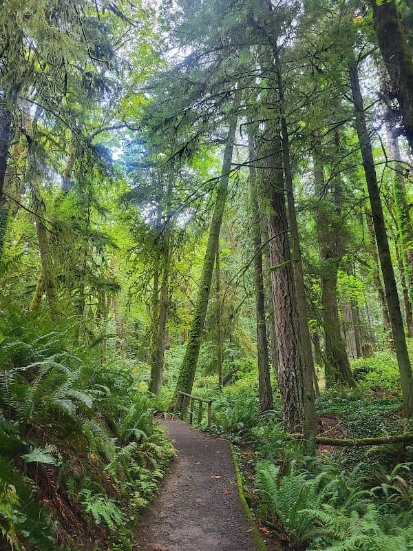 Squaxin Park (Priest Point) - Image 1