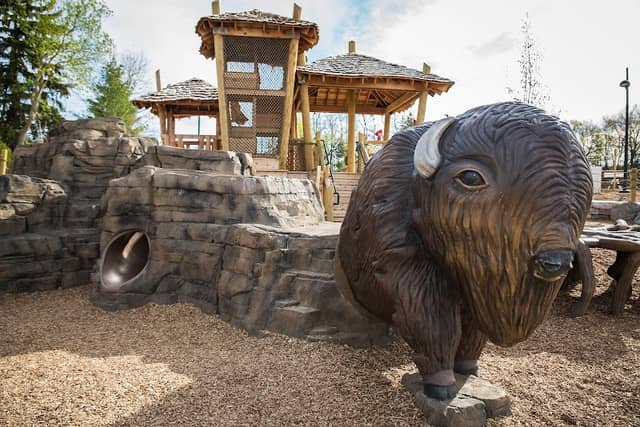 Bison's Bluff Nature Playground - Image 2