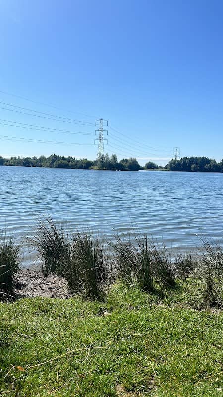 Hoveringham Lake Nature Reserve - Image 2