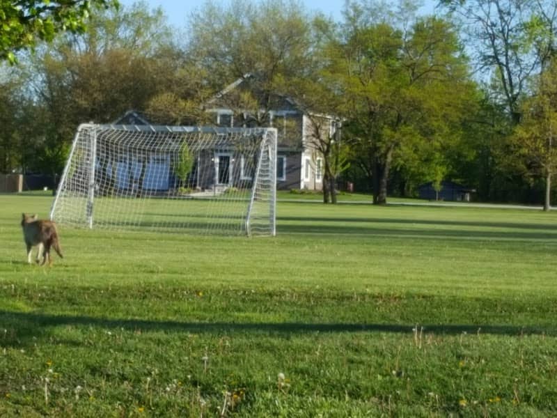 Willowview Park - Image 1