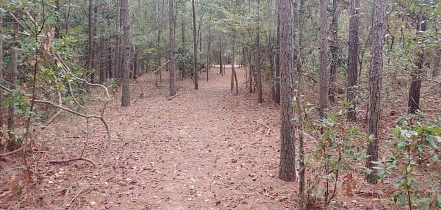 Blue Heron Park - Image 2