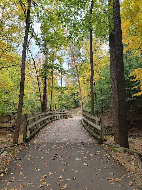 Commons Park - Image 1