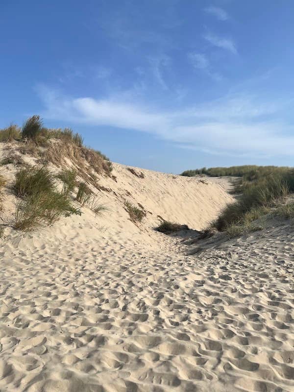 Hondenlosloopgebied Noordpier - Image 1