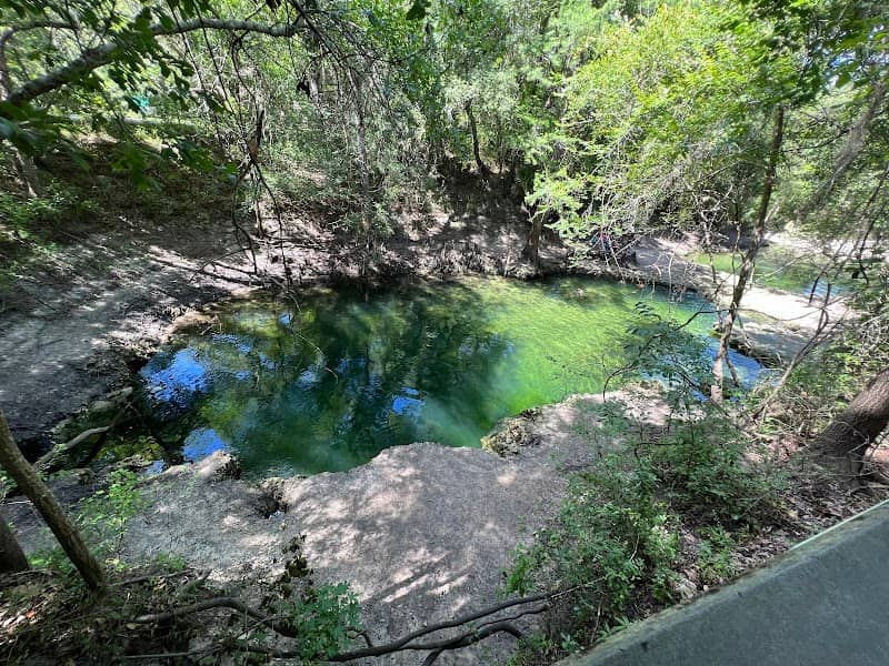 Lafayette Blue Springs State Park - Image 3