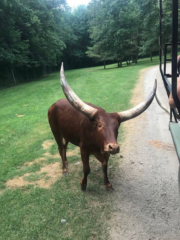 Adirondack Animal Land - Image 2