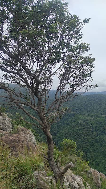 Sulavanthi View Point - Image 2