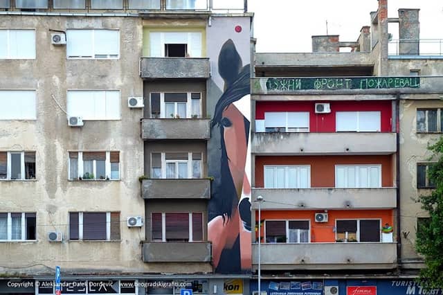 Konj - Image 1