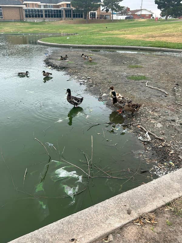 Freedom Park - Image 1
