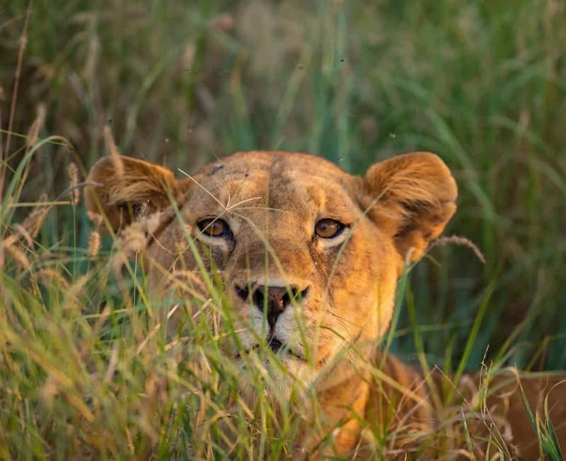 Mambo Tanzania Tours - Image 1