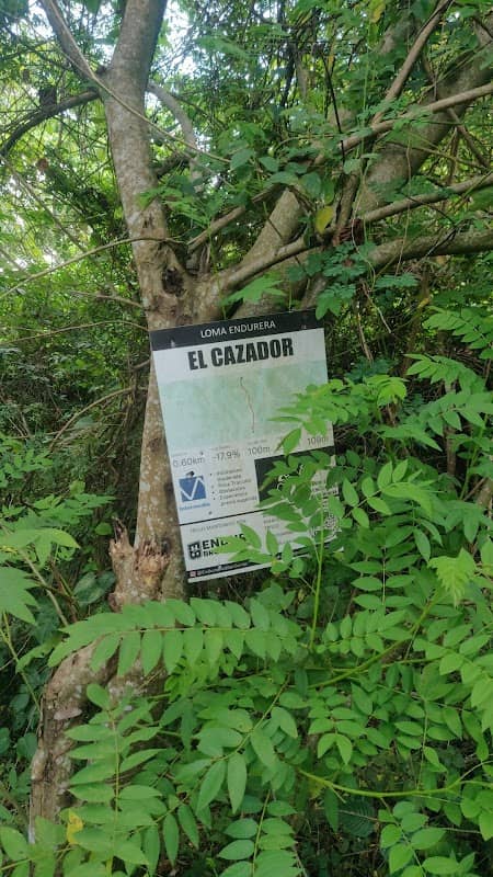 El Cazador - Image 1