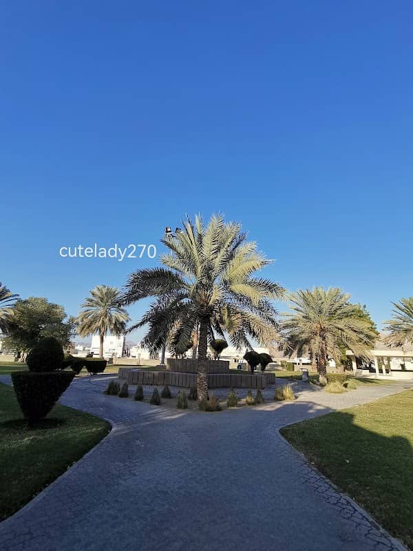 Children's park 2 | متنزة للأطفال 2 - Image 1