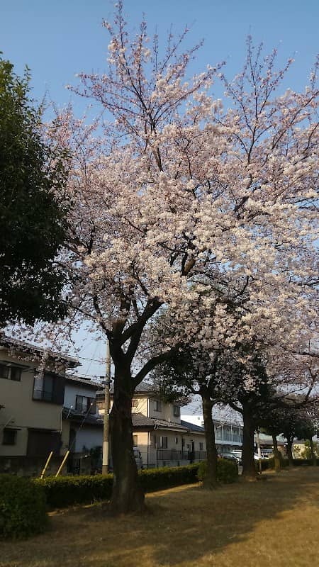 Shimizu Park - Image 2