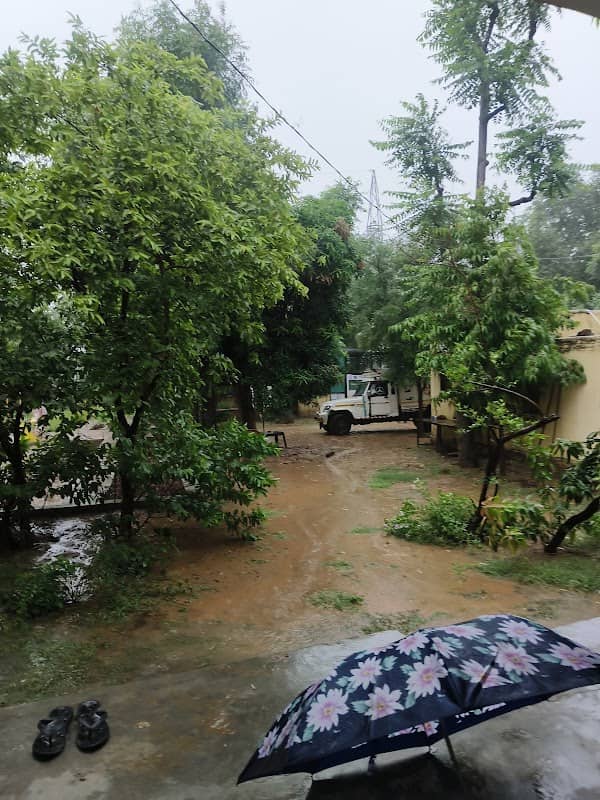 Nursary khachroda jobner road Phulera - Image 1
