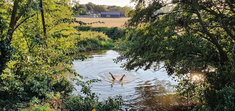 River Pant, Shalford Codham Mill - Image 1