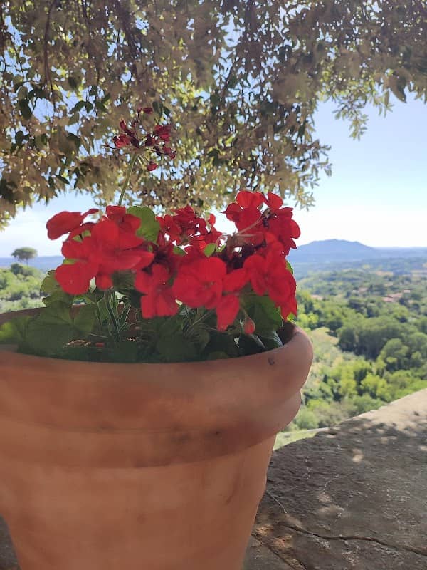 Terrazza panoramica - Image 1
