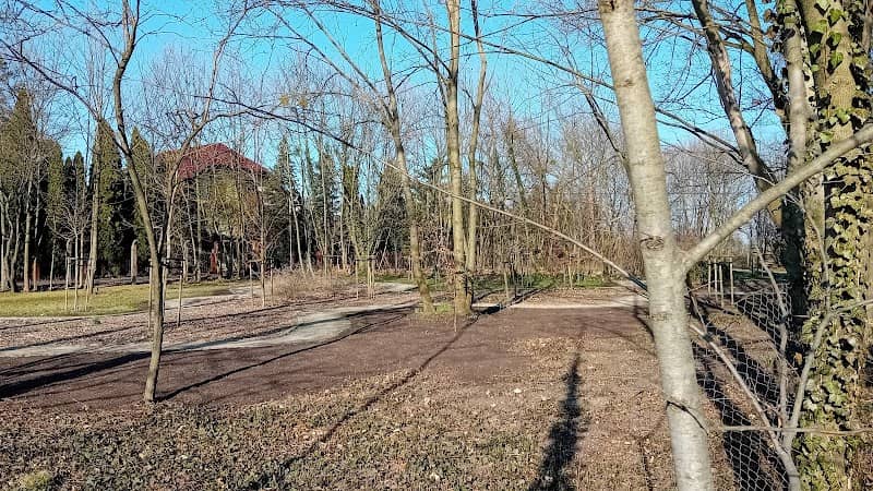 Ogród Dendrologiczny - Image 1