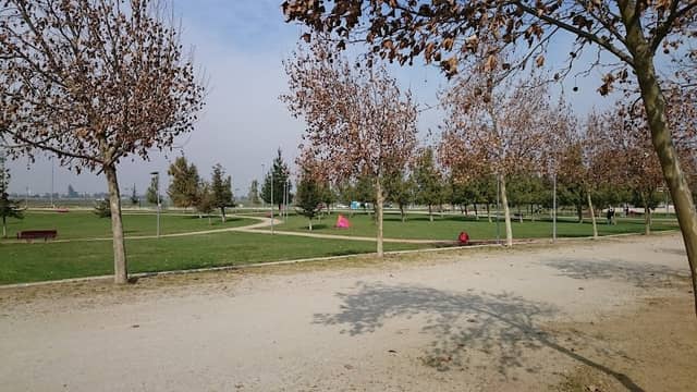 Parque Bicentenario de Cerrillos - Image 2
