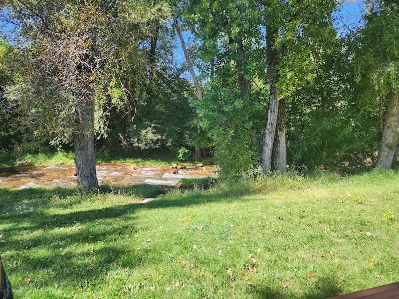 Lions Park - Image 1