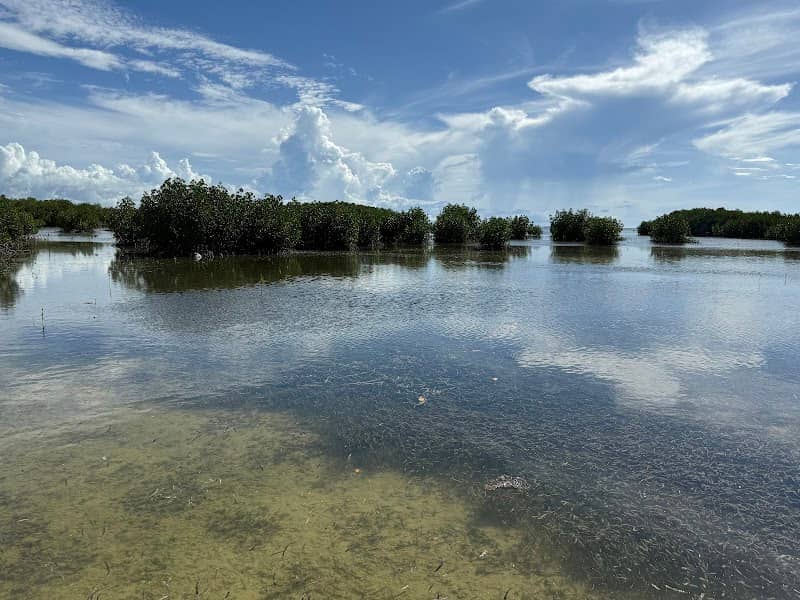 Olango Island Wildlife Sanctuary Nature Center - Image 1