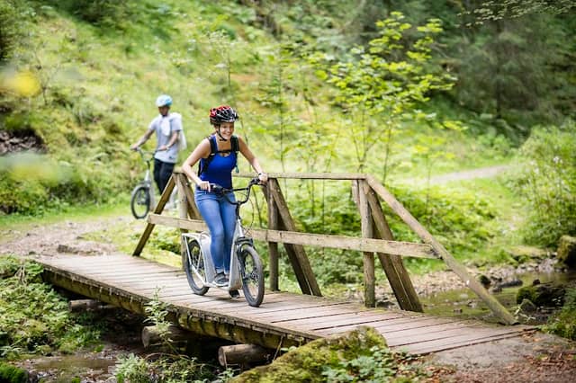 Trottinettes des Franches-Montagnes - Image 1