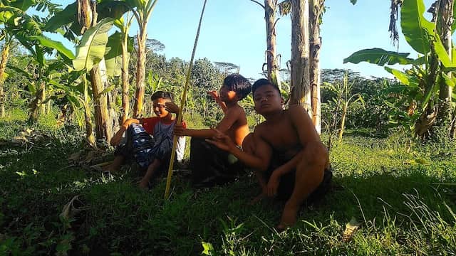 Sawah nongkrong - Image 1