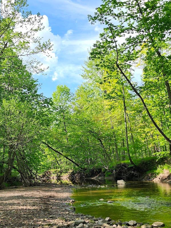Lower Fern Hill Picnic Area - Image 1
