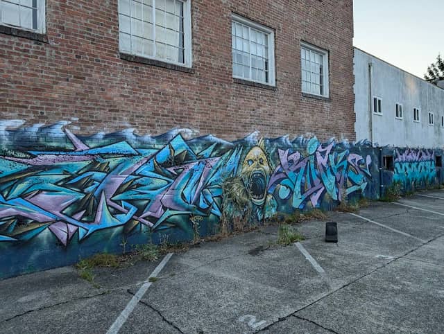 Fish graffiti mural - Image 2