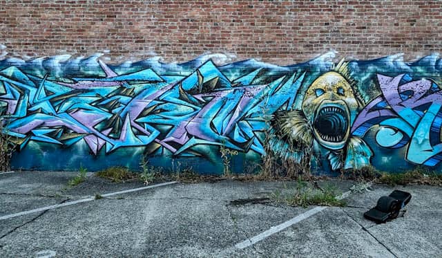 Fish graffiti mural - Image 1