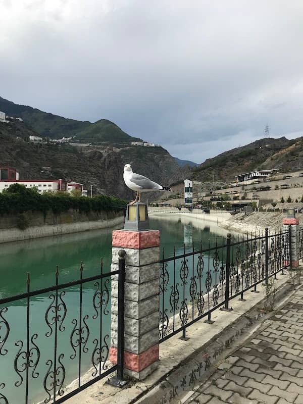 Çoruh Park - Image 1