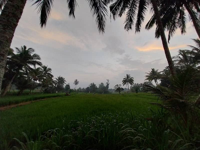 Embung Ti'oncang - Image 1