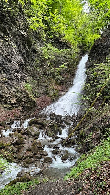 Wasserfall Grossbach Wangs - Image 2