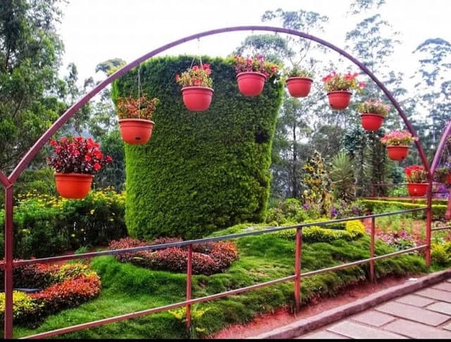 Munnar Rose Garden - Image 1
