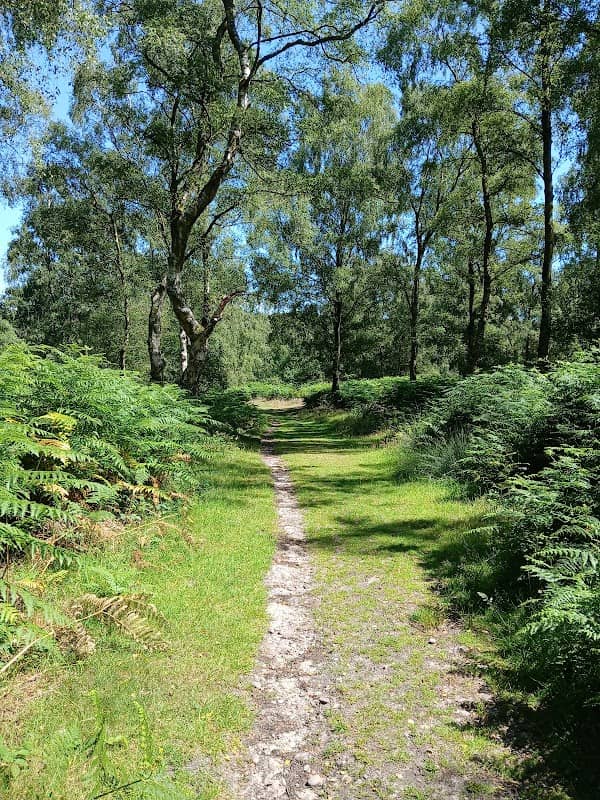 Oldacre Valley - Image 1