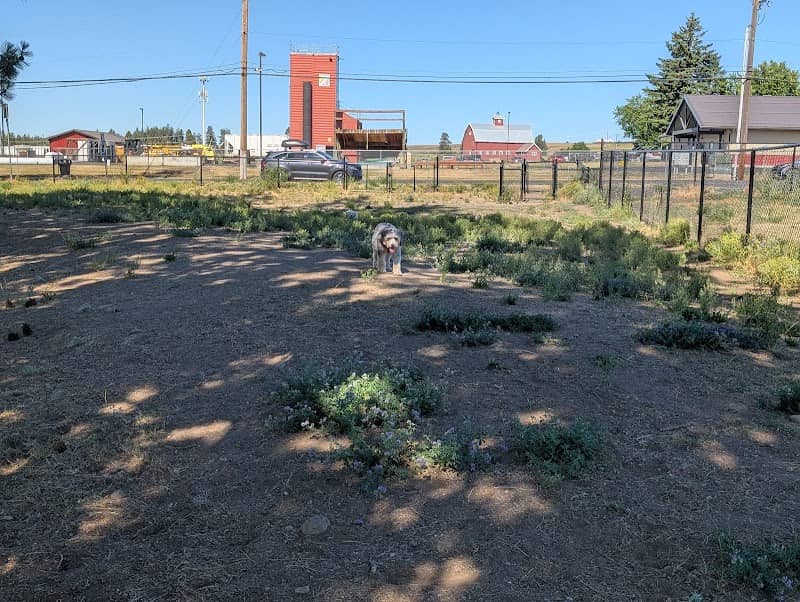 Cheney Dog Park - Image 2