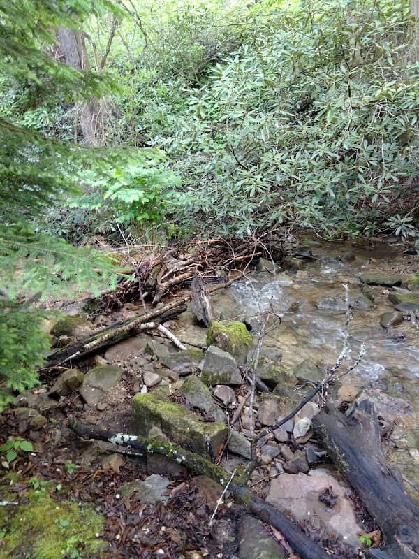 Legion Park - Image 1
