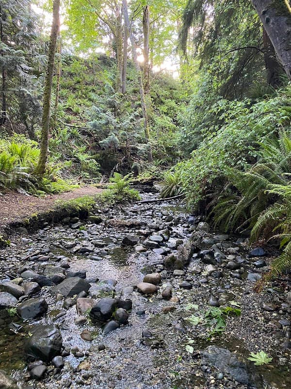 Stephenson Canyon - Image 1