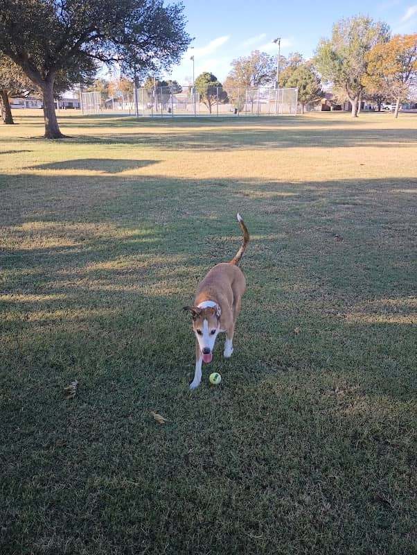 Murry H. Fly Park - Image 2