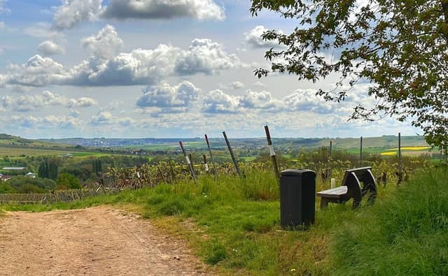 Selztalblick am Thalberg - Image 1