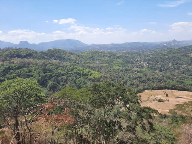 Central Hills View Point - Image 2
