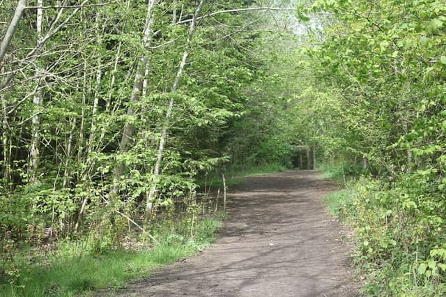 Alamein Woods - Image 1