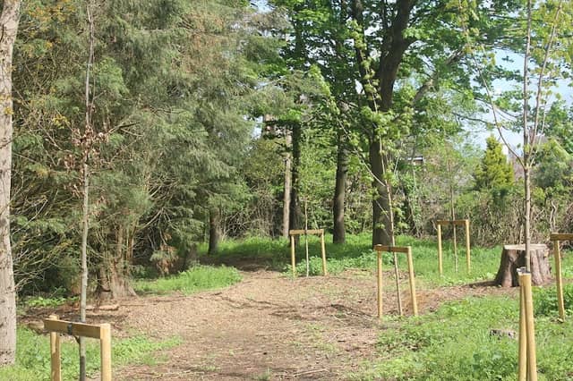Alamein Woods - Image 2