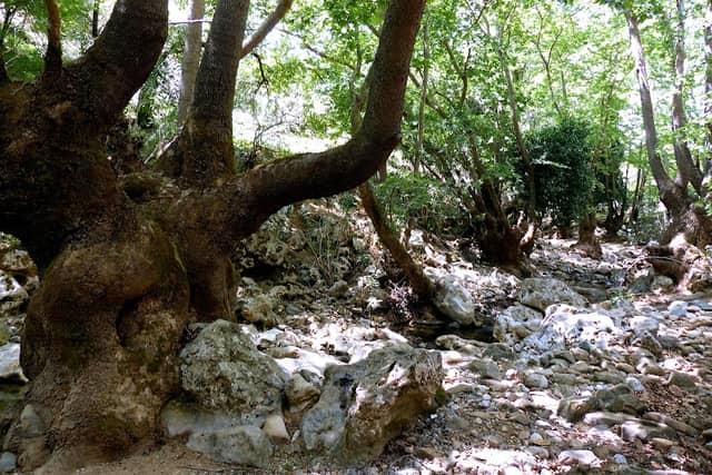 Diktamos Gorge - Image 1