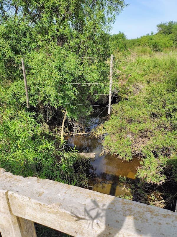 Canal Norte - Image 1