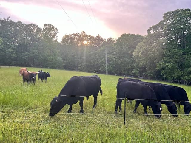 Frost Family Farm - Image 1