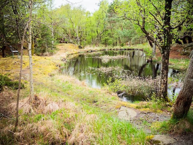 Näckrosdammen - Image 1
